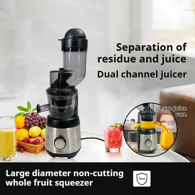 Portable Electric Fruit Juicer
