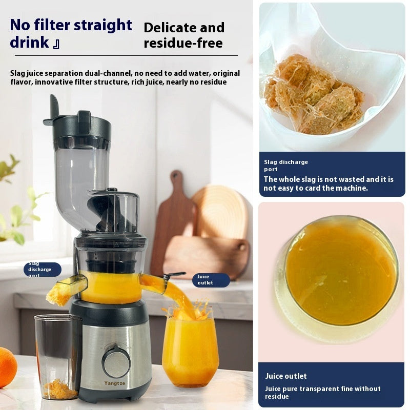 Portable Electric Fruit Juicer